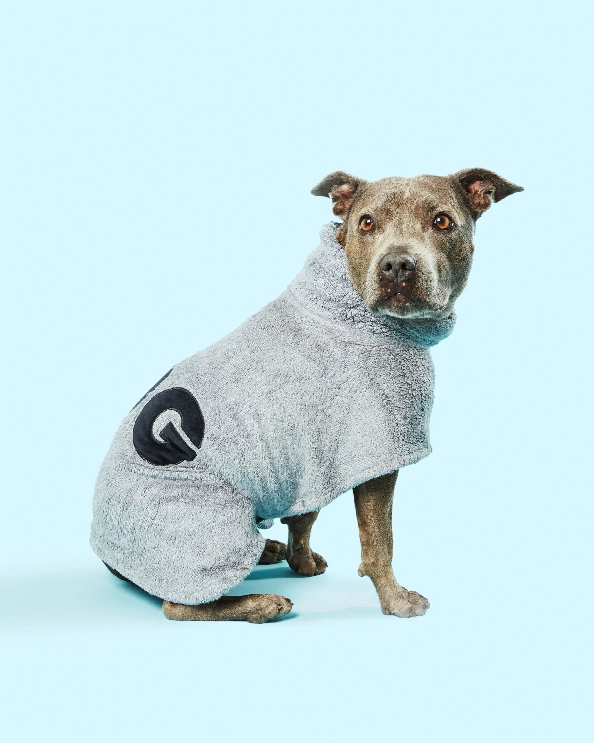 191025_AvarayCreative_DOGbyDrLisa12611.webp 191025_AvarayCreative_DOGbyDrLisa12611.webp
