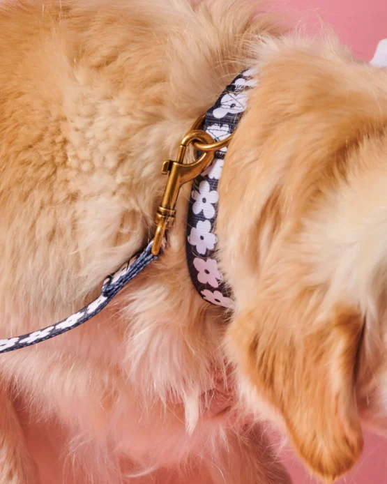 kip & co - Flower Face Dog Collar - Image 3