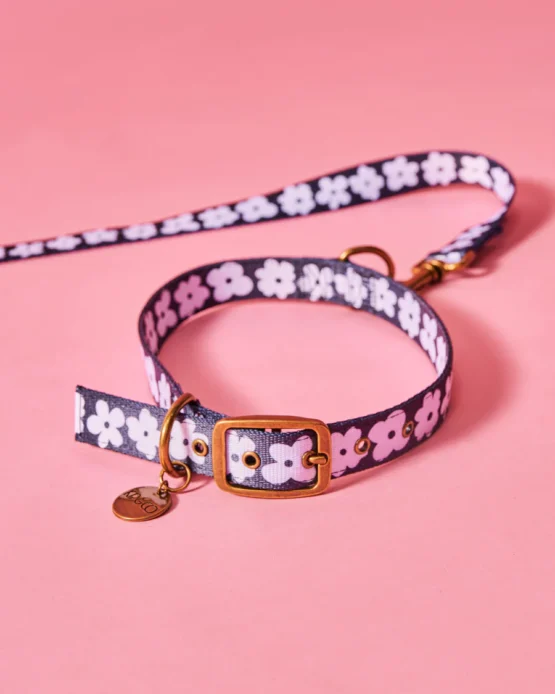 kip & co - Flower Face Dog Collar