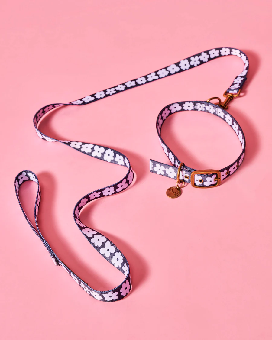 Kip-and-Co-AW25-Pet-82_e9c2e408-145d-490f-bef9-e15cdb36926b_900x.webp Kip-and-Co-AW25-Pet-82_e9c2e408-145d-490f-bef9-e15cdb36926b_900x.webp