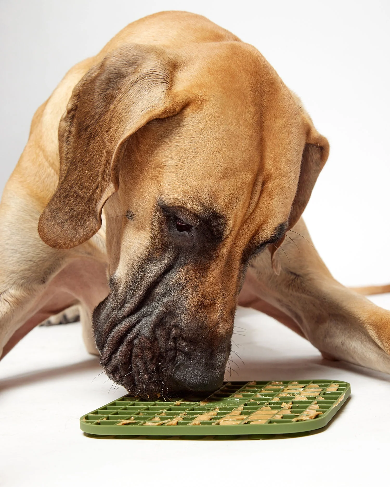 DOG - lick mat | blush - Image 3