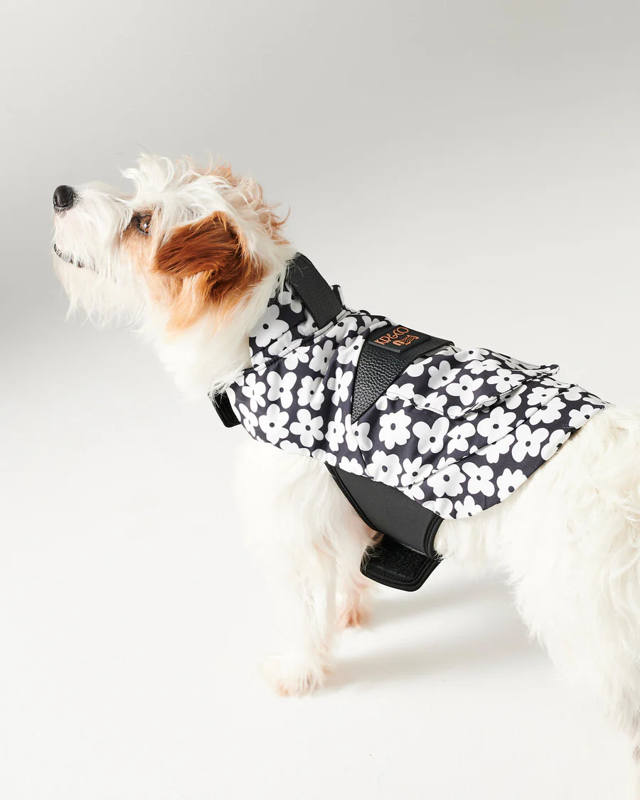 kip-and-co-ss24-pet-28_900x.webp kip-and-co-ss24-pet-28_900x.webp